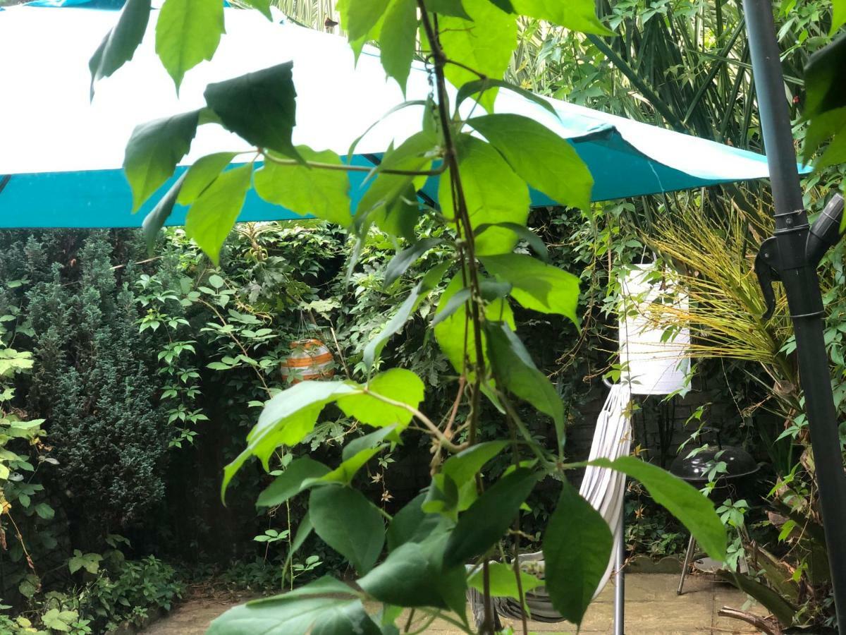 Apartament Chelsea Private Garden Maisonette Londyn Zewnętrze zdjęcie